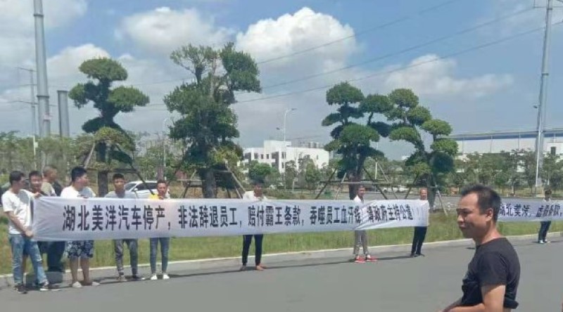 Hubei Meiyang protest