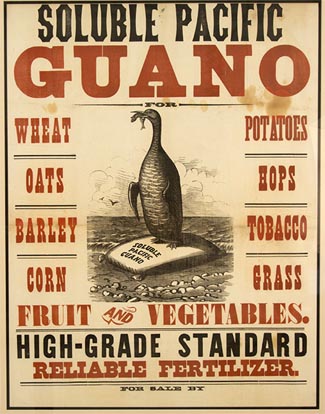 Guano-poster